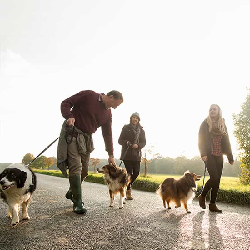 Family walking with their dogs Signia Xperience Pure Charge&Go X hearing aids